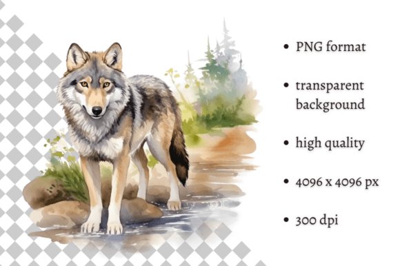 Download Watercolor Wolf Illustration - Illustration Collection