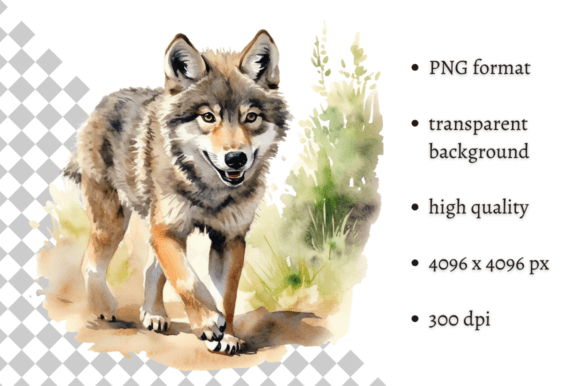 Download Watercolor Wolf Illustration - Illustration Collection