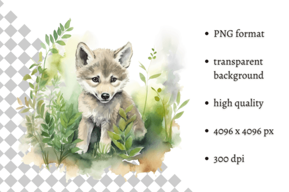 Download Watercolor Wolf Illustration - Illustration Collection