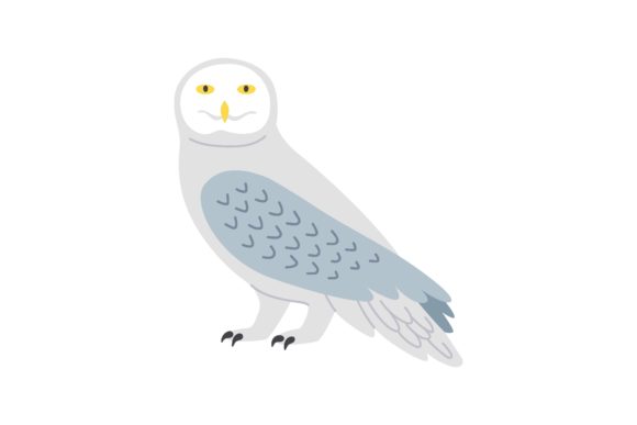 Download White Owl Cartoon Illustration. Predator - Illustration Collection