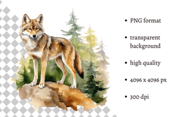 Download Watercolor Wolf Illustration - Illustration Collection