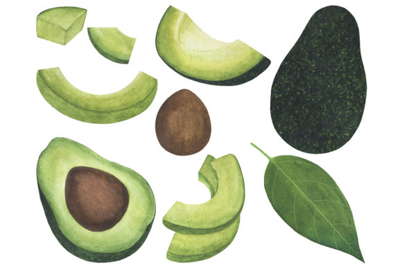 Download Set Avocado Watercolor Food Illustration - Illustration Collection