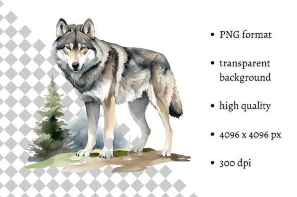 Download Watercolor Wolf Illustration - Illustration Collection