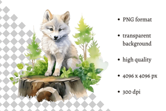 Download Watercolor Wolf Illustration - Illustration Collection