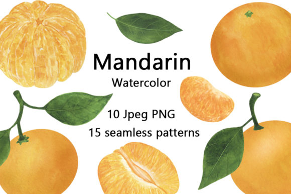 Download Set of Mandarin Watercolor Food Illustration - Illustration Collection
