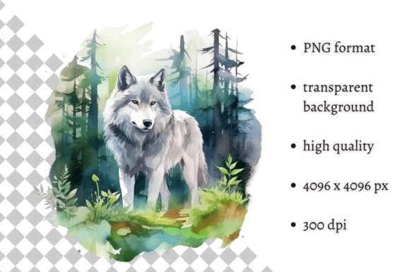Download Watercolor Wolf Illustration - Illustration Collection